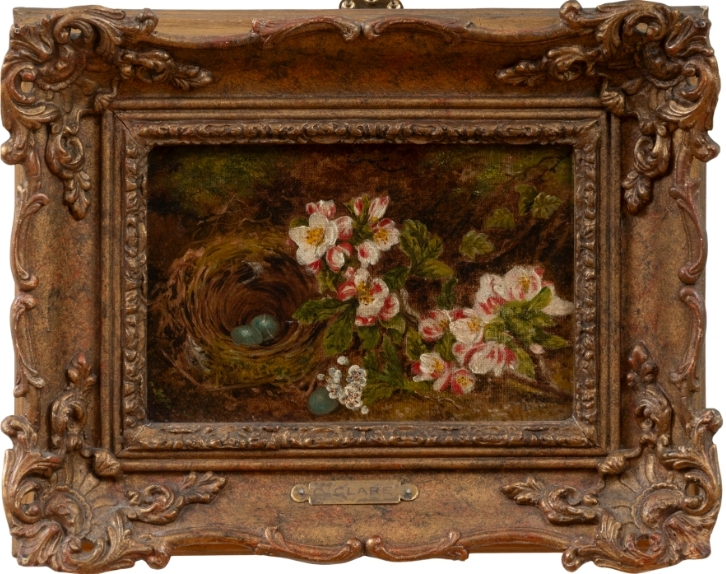 Flowers and Robin’s Nest