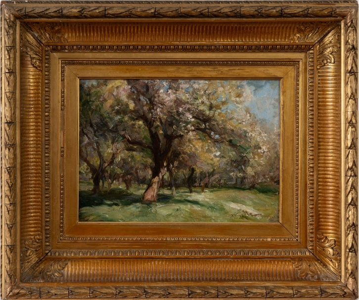 Apple Orchard